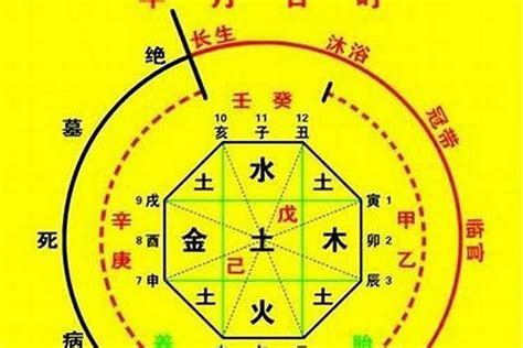 九運 八字 喜火|八字喜火九运中最走运，九紫运对八字喜火的人有什么影响